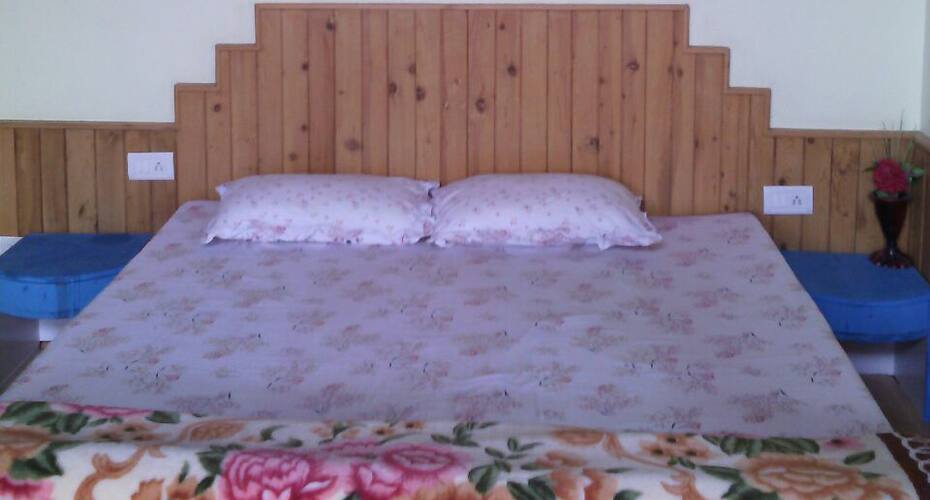 Hotel Rebenz Height, Manali 3